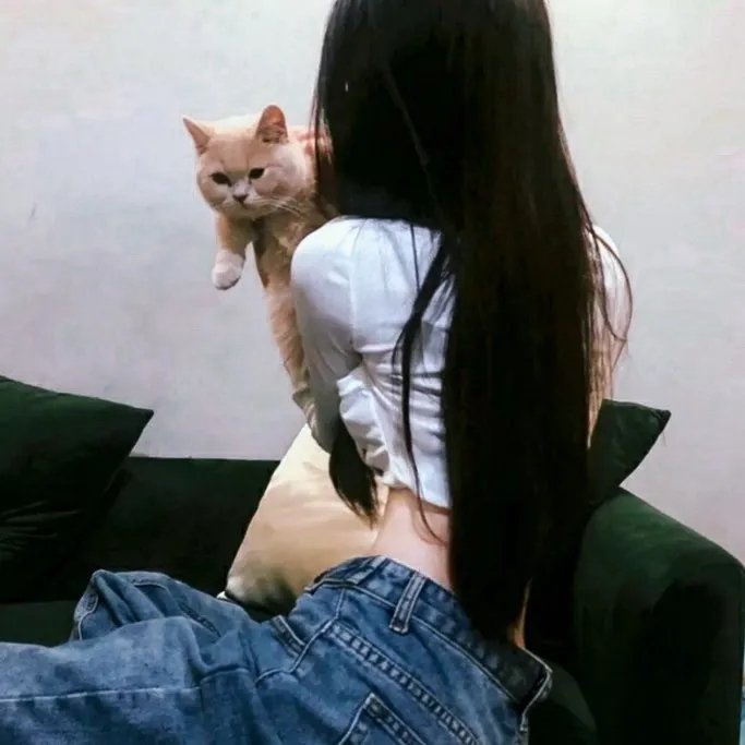 皮皮虾总裁